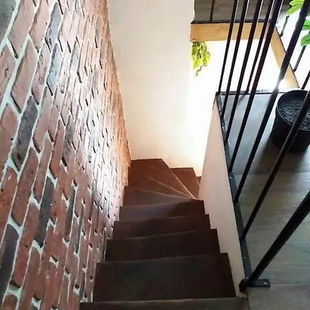 Le Paisible - Gare - Duplex - Garage Privé - Netflix Appartement