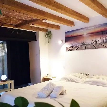 Le Paisible - Gare - Duplex - Garage Prive - Netflix * Grenoble