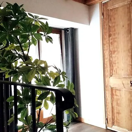 Le Paisible - Gare - Duplex - Garage Privé - Netflix Appartement