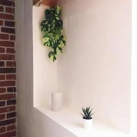 Appartement Le Paisible - Gare - Duplex - Garage Privé - Netflix Grenoble