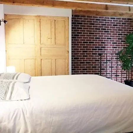 Le Paisible - Gare - Duplex - Garage Prive - Netflix Grenoble