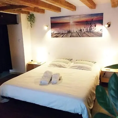 Le Paisible - Gare - Duplex - Garage Prive - Netflix