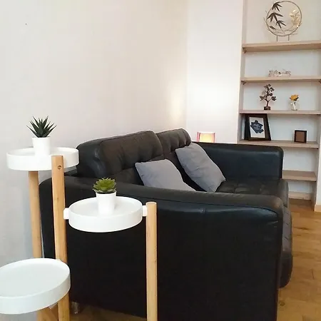 Appartement Le Paisible - Gare - Duplex - Garage Privé - Netflix
