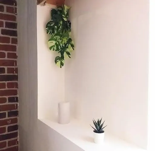 Appartement Le Paisible - Gare - Duplex - Garage Prive - Netflix Grenoble