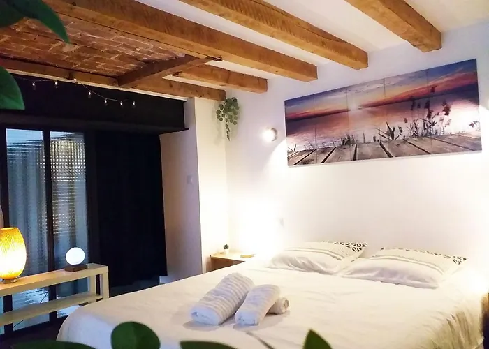 Le Paisible - Gare - Duplex - Garage Prive - Netflix * Grenoble