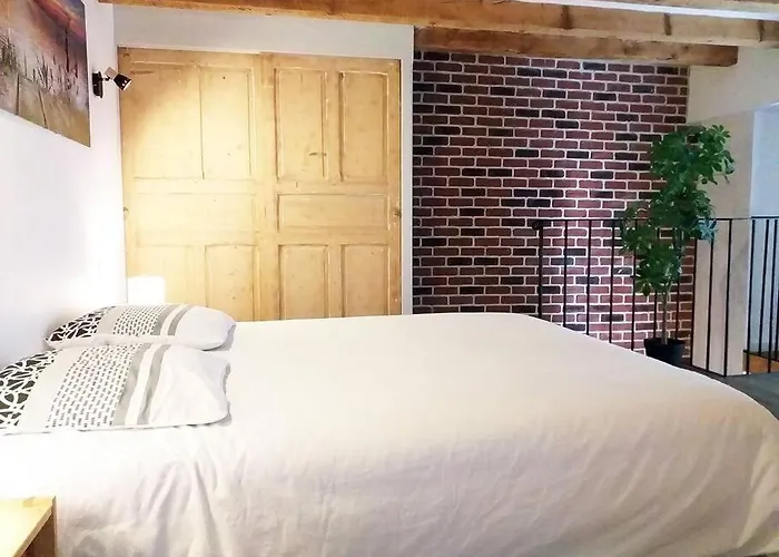 Le Paisible - Gare - Duplex - Garage Privé - Netflix Grenoble