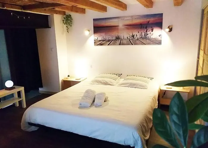 Le Paisible - Gare - Duplex - Garage Privé - Netflix