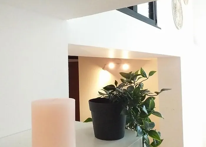 Le Paisible - Gare - Duplex - Garage Privé - Netflix